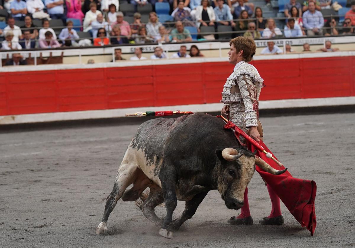 'Tapaboca', el toro indultado, se recupera ya en una finca de Córdoba