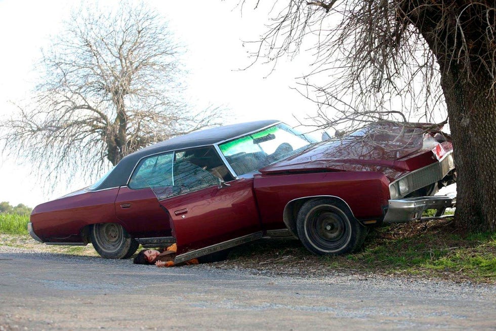 Tierra amarga tierra amarga