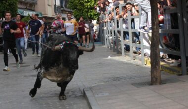 Carcabuey volverá a vibrar este sábado con el Toro de Cuerda, que cumple 400 años