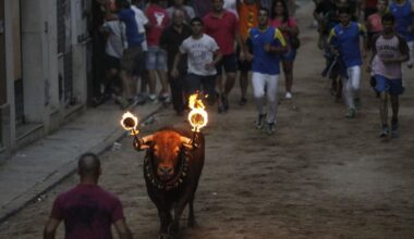 Programación de los actos taurinos de la Pobla de Farnals 2025