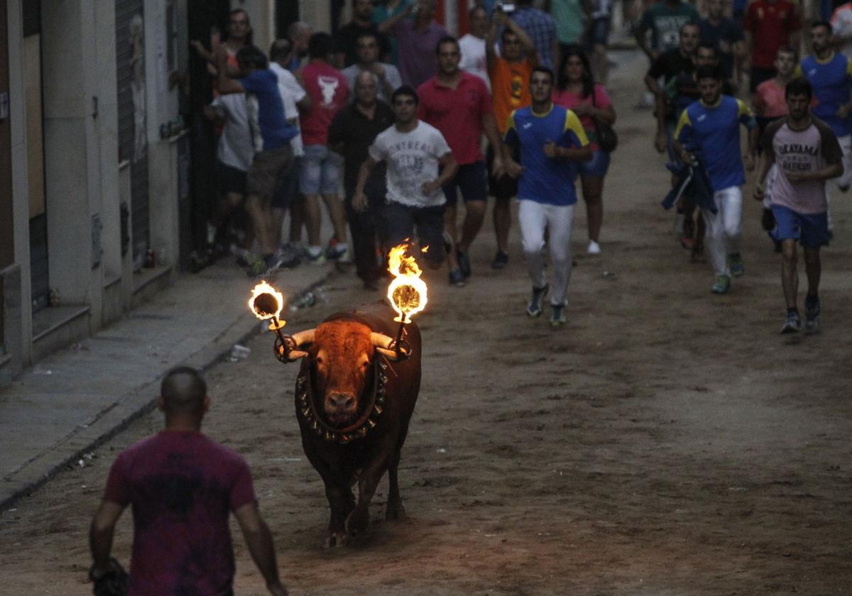 Programación de los actos taurinos de la Pobla de Farnals 2025