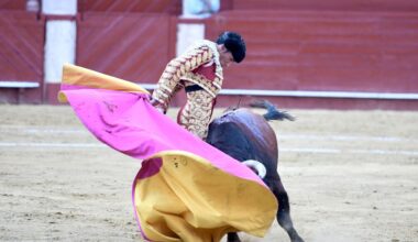 Entre la sombra del acero y la luz del toreo