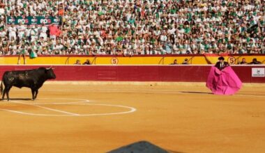 À Punt retransmite la corrida de toros de la Feria de la Albahaca de Huesca