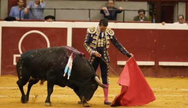 El PNV acusa a EH Bildu de retrasar el debate de los toros en los municipios donde gobierna