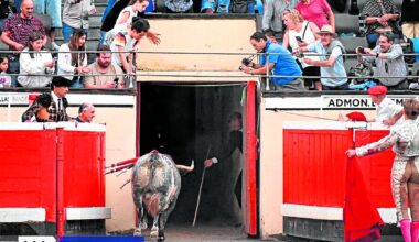 La buena ola del toreo alcanza Bilbao