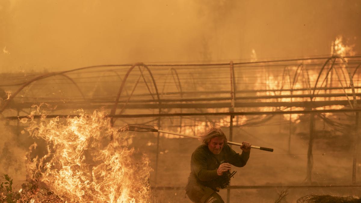Última hora de los incendios, en directo: más de 40 fuegos asedian Galicia, Extremadura y Castilla y León - El HuffPost