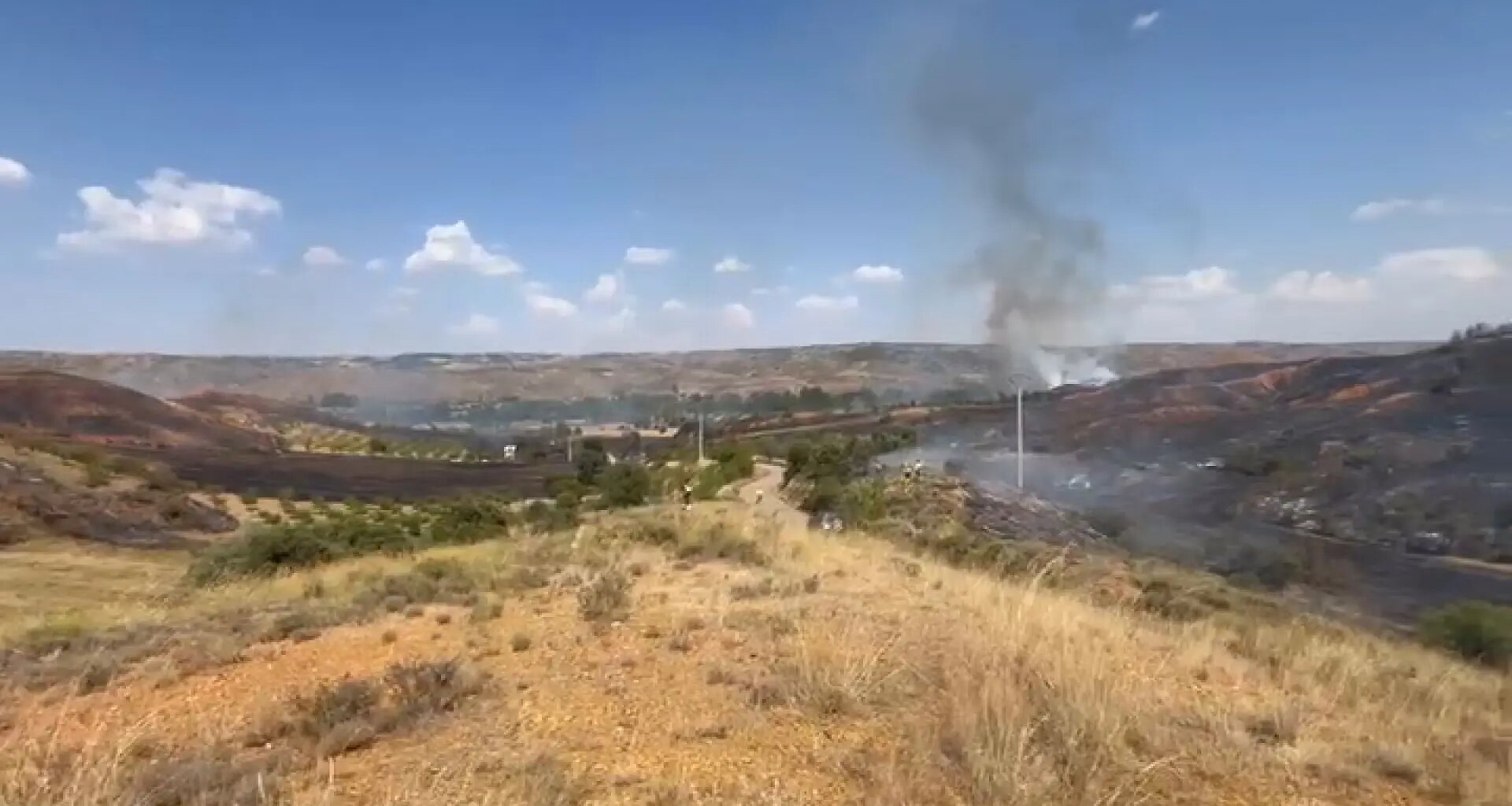 Un incendio forestal cerca del municipio de Daroca (Zaragoza) calcina 35 hectáreas