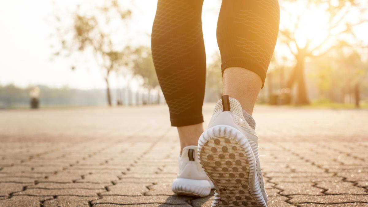 Un hallazgo científico aporta luz a la razón por la que los humanos caminamos sobre dos piernas