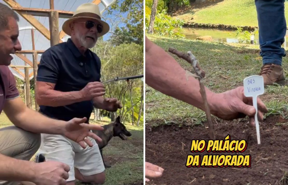 Capturas del video compartido el sábado 16 de agosto por el presidente de Brasil, Lula da Silva.