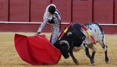 Tres orejas, dos buenos novillos y una dramática voltereta a Artazos