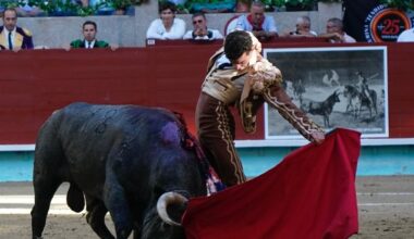 Fernando Adrián indulta a Heráldico, hijo de Cobradiezmos