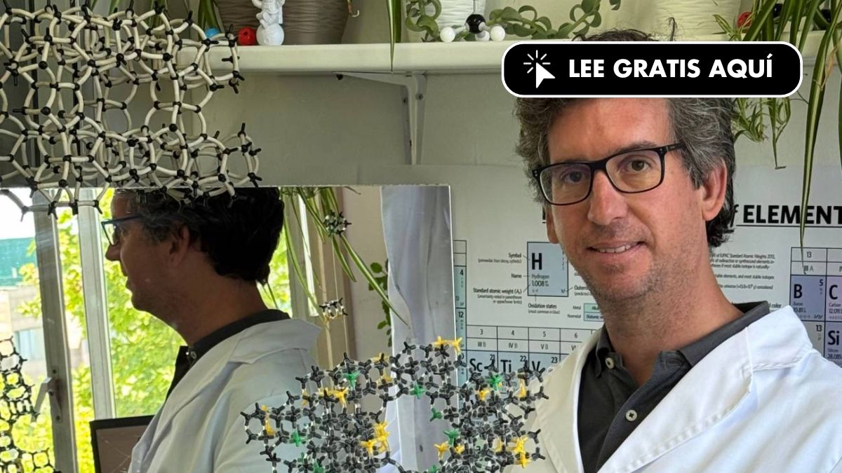 La vida especular plantea riesgos invisibles para el equilibrio biológico