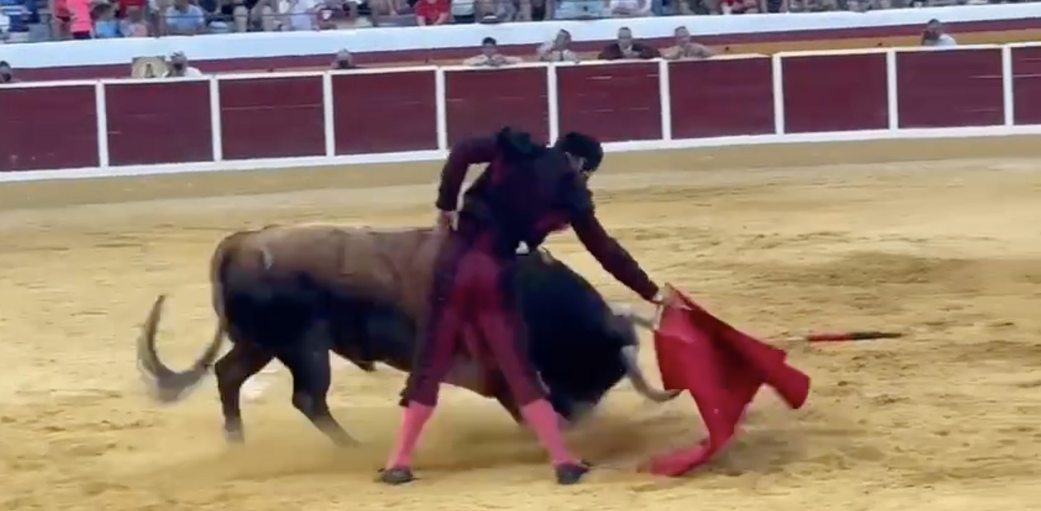 Feria Taurina de San Bartolomé 2025: Morenito de Aranda brilla con puerta grande en Añover de Tajo