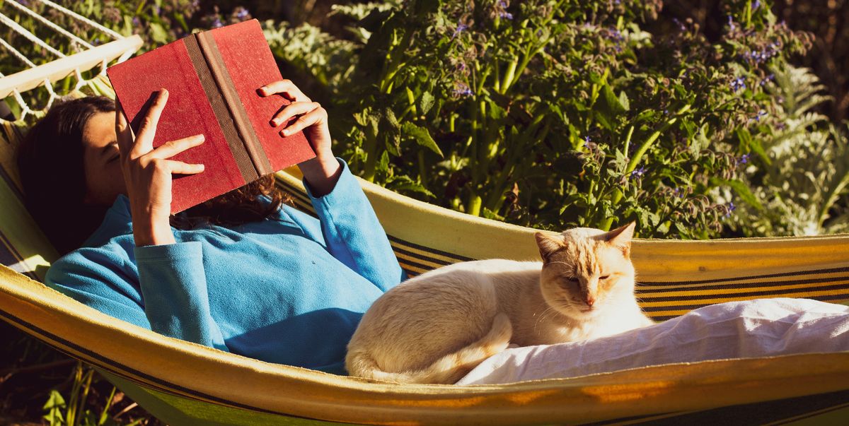 Por qué la literatura japonesa tiene tanta conexión con los gatos
