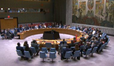 La ONU aprueba que Palestina participe por videoconferencia