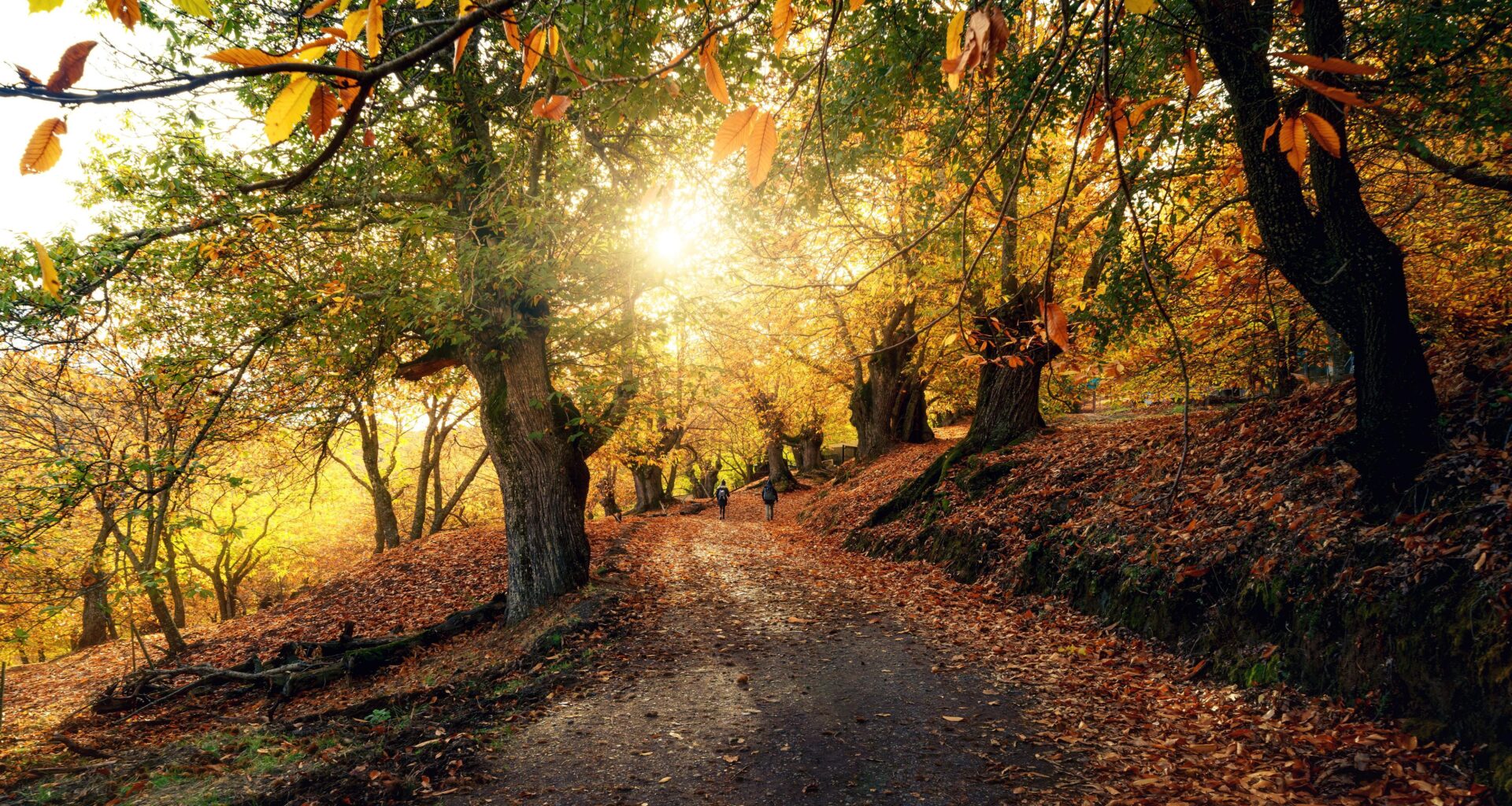 El otoño llega este lunes cargado de planetas, constelaciones y de una caída de temperaturas