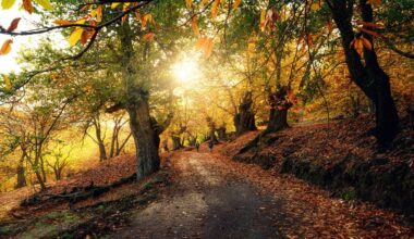 El otoño llega este lunes cargado de planetas, constelaciones y de una caída de temperaturas