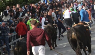 Pacma califica como "delirante" el "peligroso" encierro de Medina del Campo