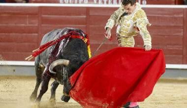 Veterano y noveles | Noticias La Tribuna de Albacete