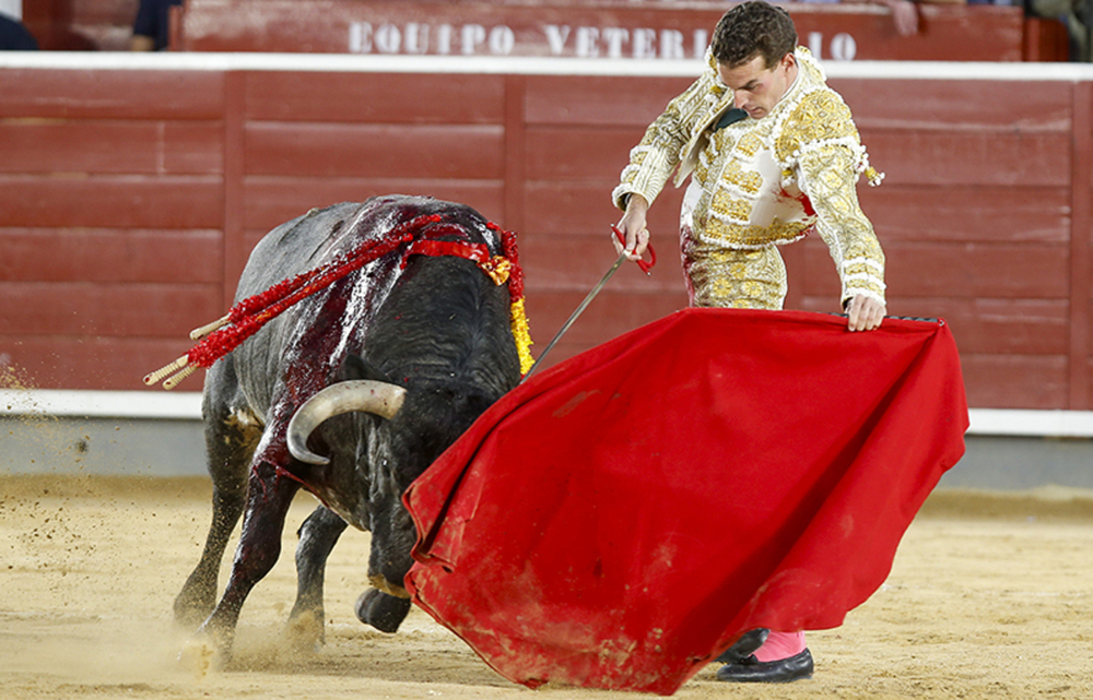 Veterano y noveles | Noticias La Tribuna de Albacete