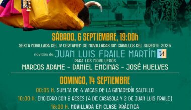 Luis Pizarro es ovacionado en Villamanrique de Tajo – Avance Taurino