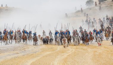 Primero de los encierros de las fiestas de la Virgen del Rosario de Cuéllar