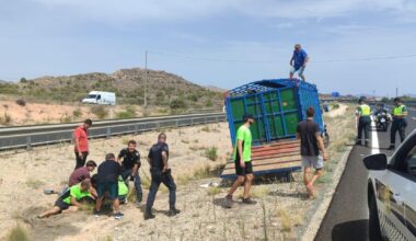El escape de la vaquilla.