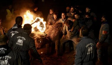 Celebración del Toro Jubilo en el municipio soriano de Medinaceli en noviembre de 2023