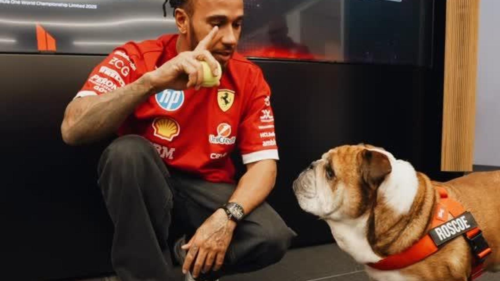Lewis Hamilton junto a su perro Roscoe