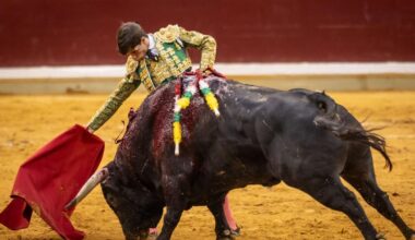 Madurez y juventud se funden en la feria taurina de San Mateo en La Ribera
