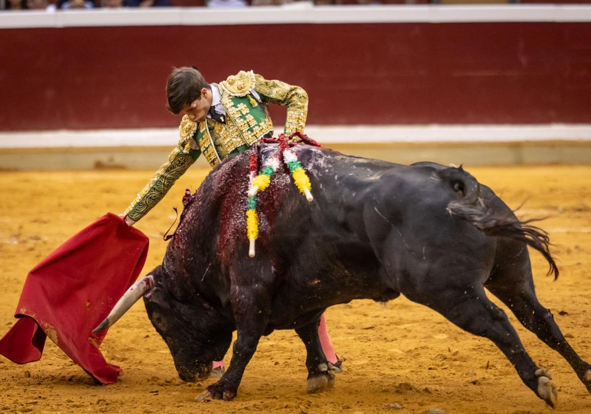 Madurez y juventud se funden en la feria taurina de San Mateo en La Ribera