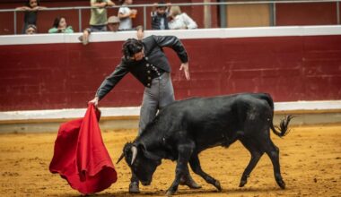 Semilla de toreros en el bolsín Taurino de Logroño