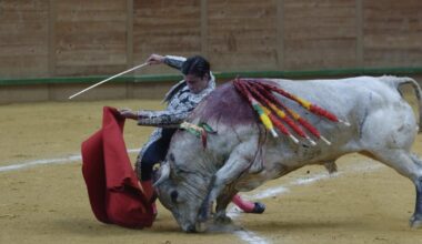 El buen 'Barbatriste' destaca en la novillada de Los Maños