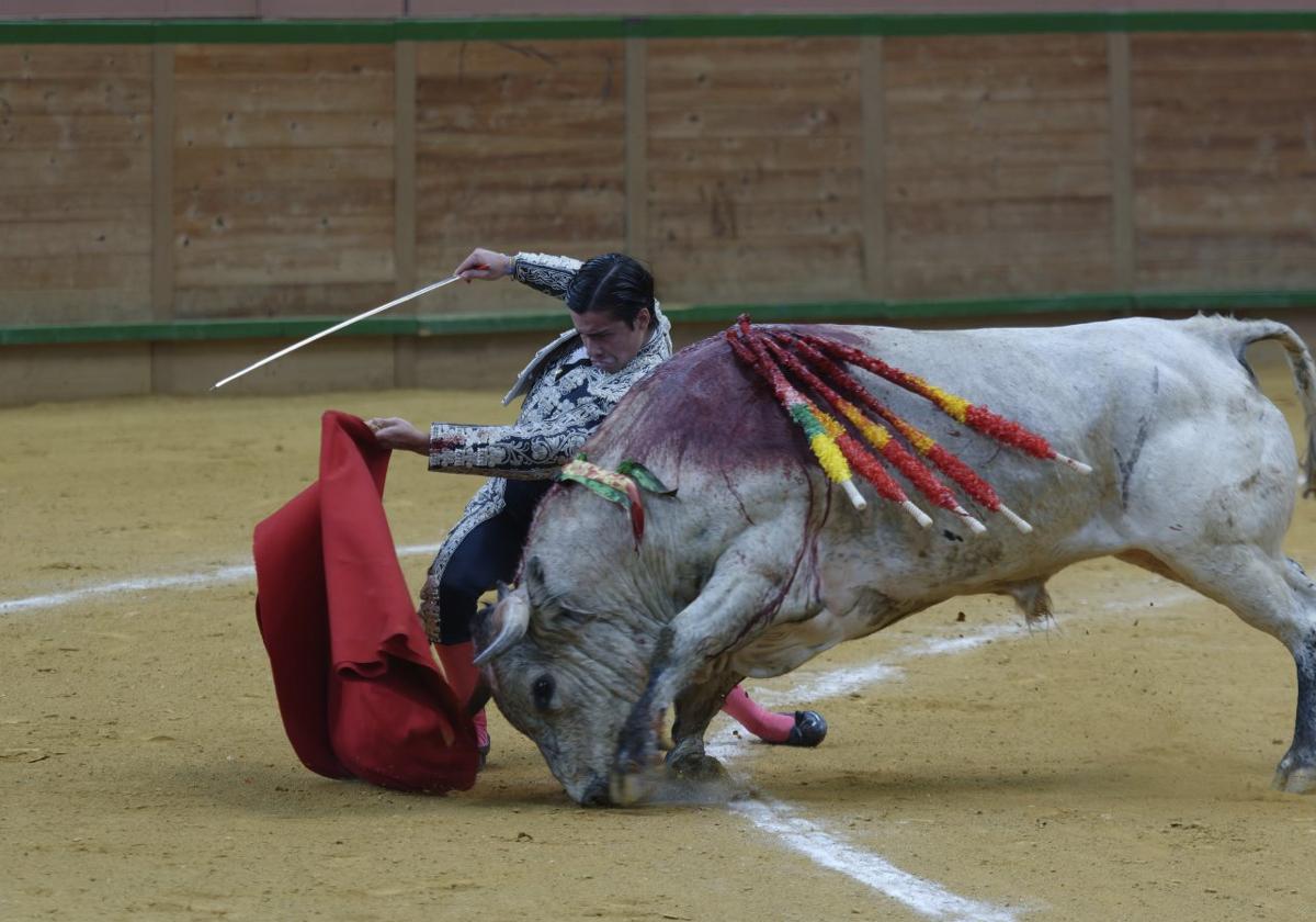 El buen 'Barbatriste' destaca en la novillada de Los Maños