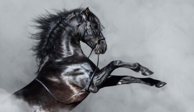 el 'indicador Buffett' alcanza un histórico 230% del PIB de EEUU y emite preocupantes señales de burbuja