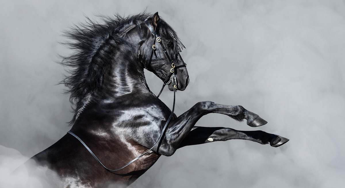 el 'indicador Buffett' alcanza un histórico 230% del PIB de EEUU y emite preocupantes señales de burbuja