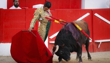 Morante y Roca Rey vuelven a encontrarse después del agarrón de El Puerto y cuelgan el primer "no hay billetes" en Valladolid después de 9 años - El Mundo