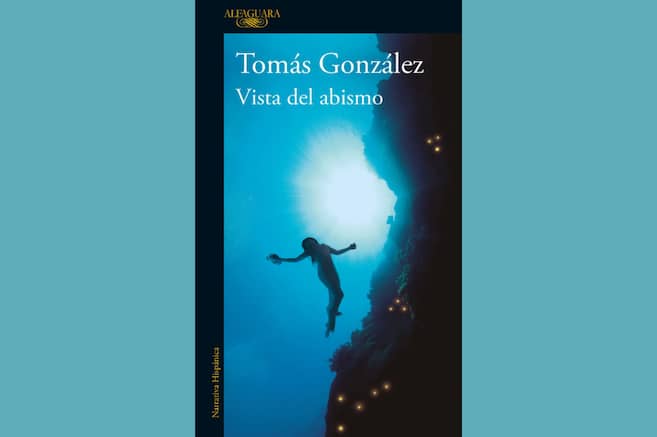 Frases del libro “Vista del abismo”, de Tomás González | Fragmentos de lectura