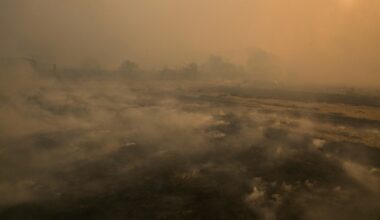 Nuevo fuego en la zona afectada por la pasada ola de incendios en España