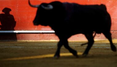 No habrá más corridas de toros: la Corte Constitucional ratificó decisión de restringir prácticas violentas con animales