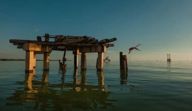 La mítica Leica cumple un siglo: la muestra fotográfica que no te puedes perder - Expansión