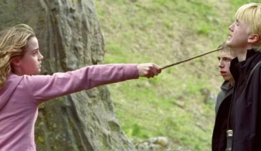 Lo que empezó como un "amor prohibido" entre Hermione y Draco Malfoy se va a convertir en una pelicula que ya ha batido un récord