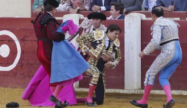 Gran dimensión de Roca Rey, que sufre una fea cogida, y Marco Pérez en Valladolid - El Mundo