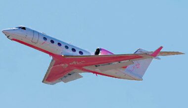 Paris Hilton conquista los cielos en su "jet" rosa de más de 20 millones de euros