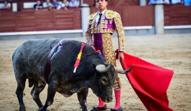 Juan de Castilla pone la casta en el descafeinado desafío ganadero en Las Ventas - El Mundo