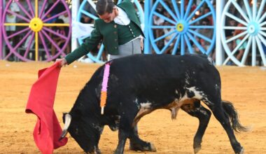 Más orejas que contenido en la segunda de La Algaba