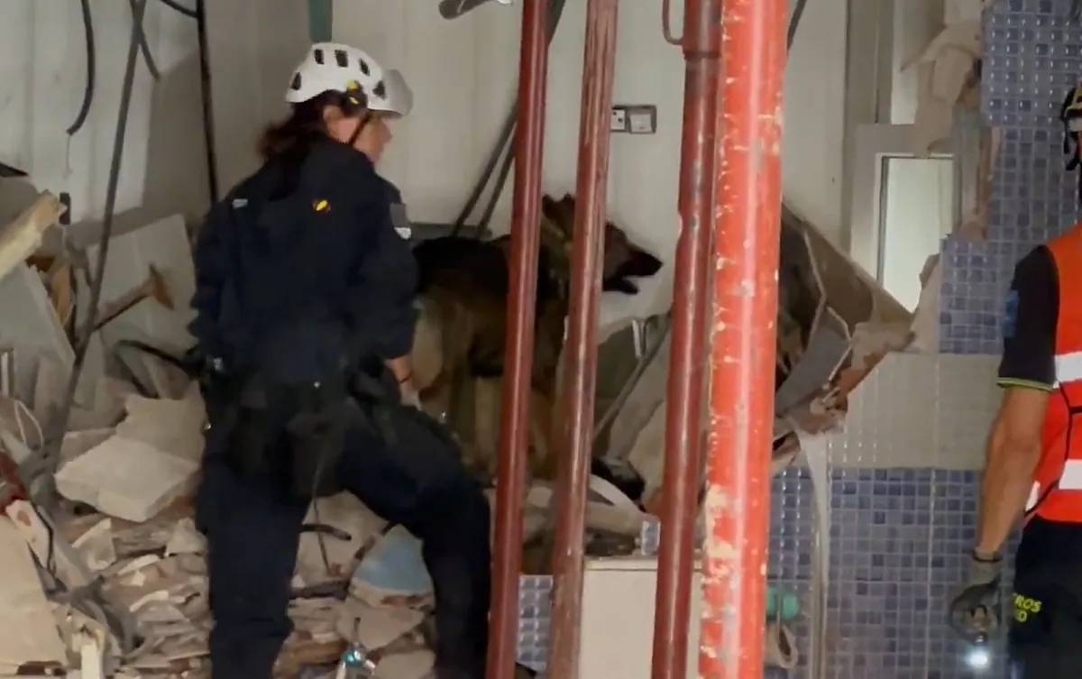 La Policía encuentra un segundo cadáver bajo los escombros de la explosión de Vallecas - El Mundo