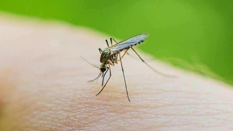 Lucha contra la malaria en Camerún con enfoque multisectorial