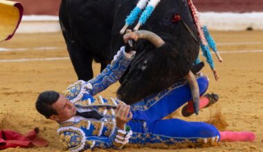 José María Manzanares se reserva para reaparecer en el cartel estrella de San Miguel