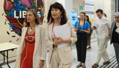 La vocal del Observatorio contra la Violencia de Género y una juez de la AN alertaron sobre las pulseras antimaltrato